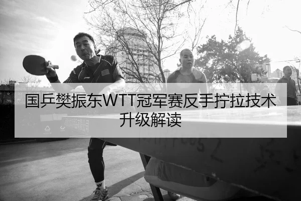 国乒樊振东WTT冠军赛反手拧拉技术升级解读