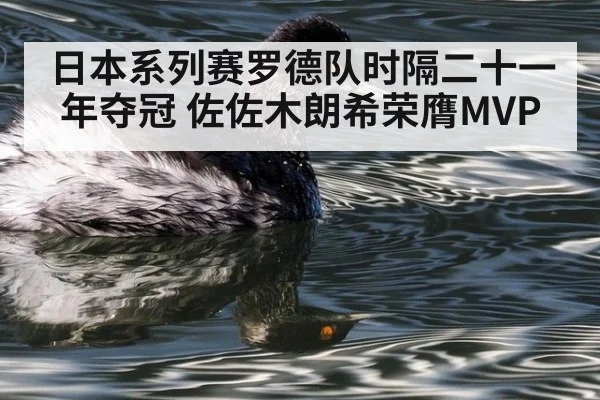 日本系列赛罗德队时隔二十一年夺冠 佐佐木朗希荣膺MVP