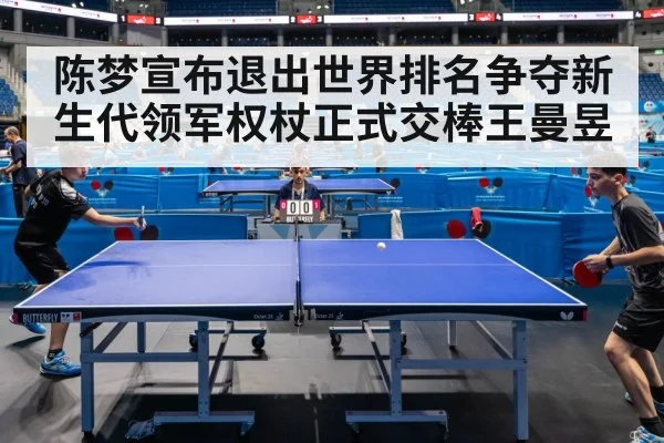 table tennis match action